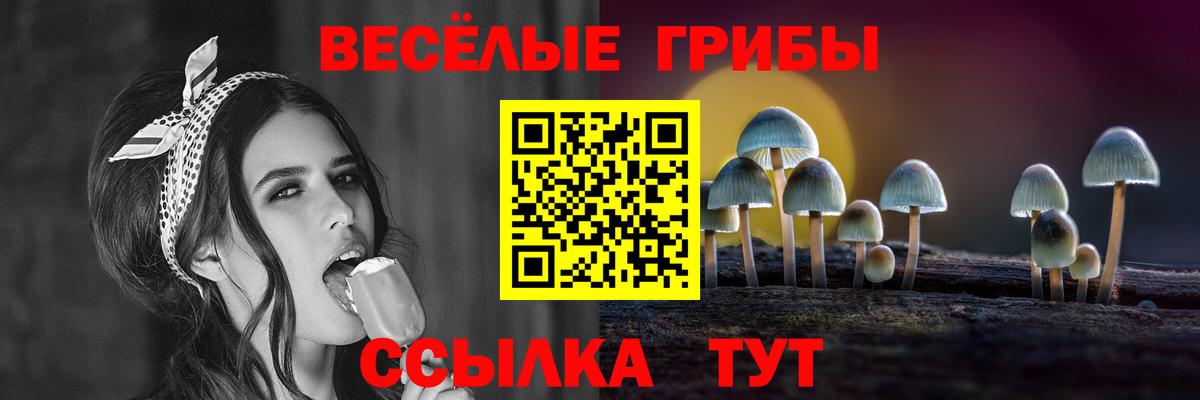 Каменск-Шахтинский  Псилоцибиновые грибы Cubensis  Вход с VPN  Псилоцибиновые грибы GOLDEN TEACHER 