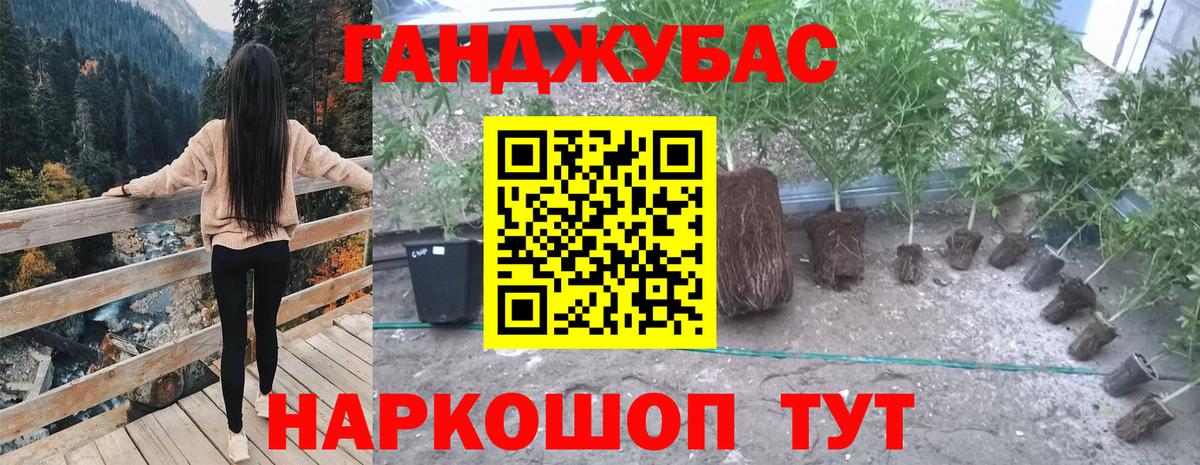Каннабис семена  Канабис White Widow  Каменск-Шахтинский  Вход с VPN  Марихуана тримм 